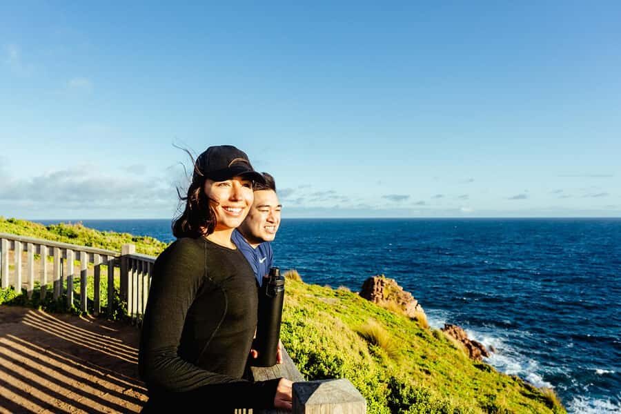 From Melbourne: Phillip Island Penguin Parade Express Tour - The Return Trip: Comfort and Convenience