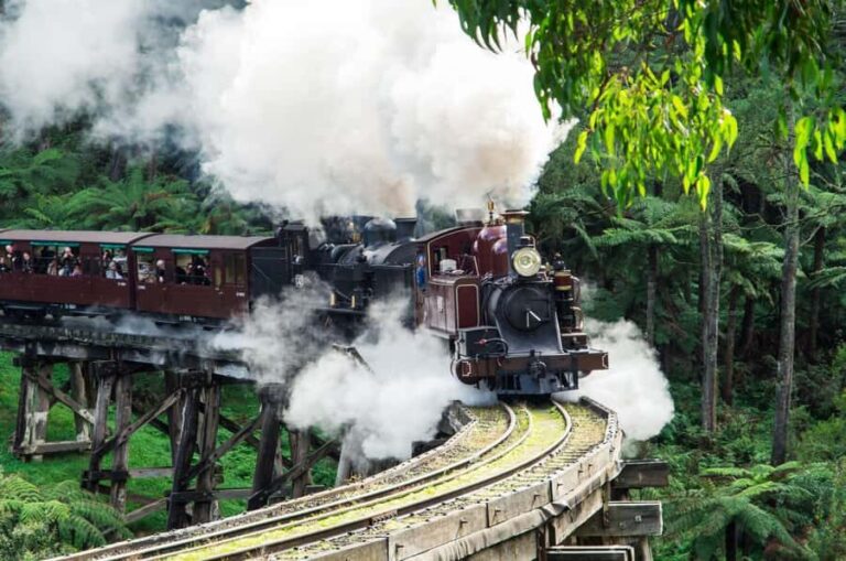 From Melbourne: Puffing Billy and Penguin Parade Combo Tour - Why This Tour Offers Solid Value