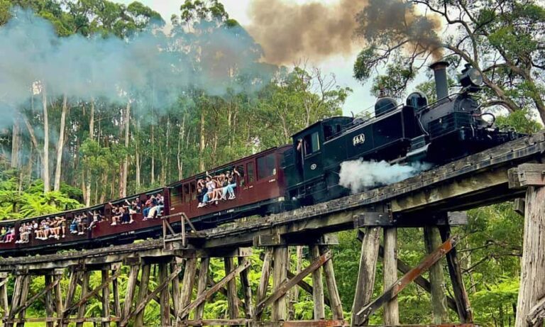 From Melbourne: Puffing Billy & Penguins Combo Tour Package - The Itinerary in Detail