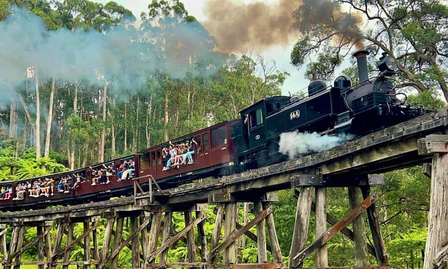 From Melbourne: Puffing Billy & Penguins Combo Tour Package - The Itinerary in Detail