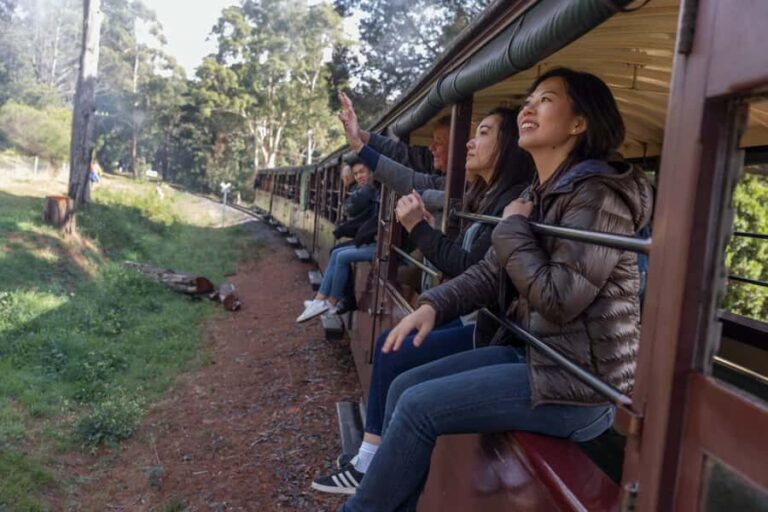From Melbourne: Puffing Billy Steam Train & Wildlife Tour - Key Points