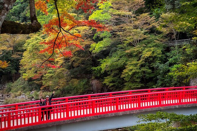 From Nagoya: Discover Aichi  Korankei, Miso, & Inari Shrine - Exploring Toyokawa Inari Shrine