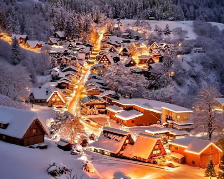 From Nagoya: Hida Takayama and Shirakawa-go Winter Day Tour - A Deep Dive into the Experience