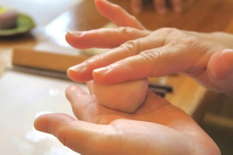 From Nagoya: Wagashi Workshop & Matcha Tea Field Tour - What Makes This Tour Stand Out