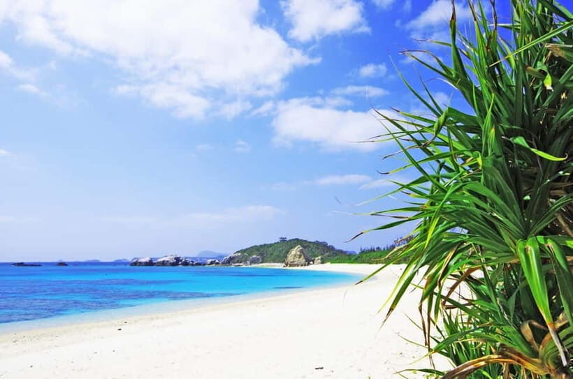 From Naha: Snorkeling Tour to Kerama by Ferry - What to Expect on the Tour