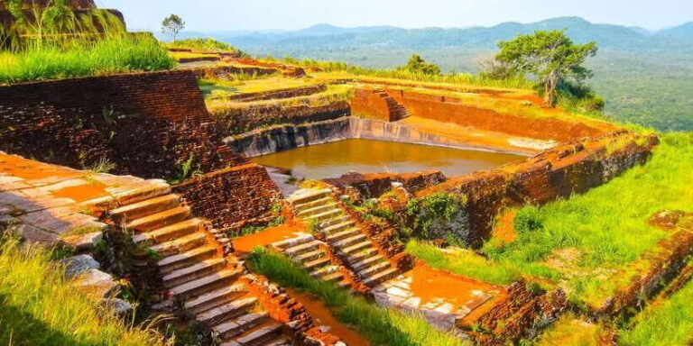 From Negombo: Sigiriya and Dambulla Day Trip and Safari - What Makes This Tour Stand Out?