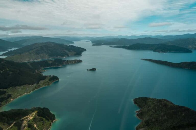 From Nelson: Marlborough Sounds Scenic Helicopter Flight - The Scenic Highlights