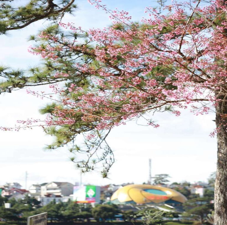 From Nha Trang: Day Trip to DaLat with Lunch - Final Thoughts