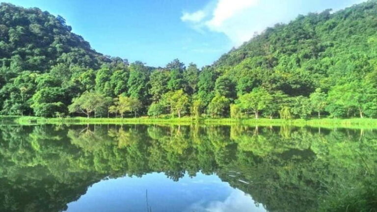From Ninh Binh: Cuc Phuong National Park Day Trip - Authentic Experiences and Real Reviews