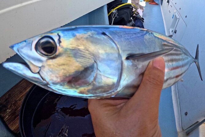 From Onna Village (Maeda Fishing Port)!Fishing and Trolling | Fully Chartered Boat Plan (3-Hour/6-Hour Course) - Discovering the Fishing Tour from Onna Village