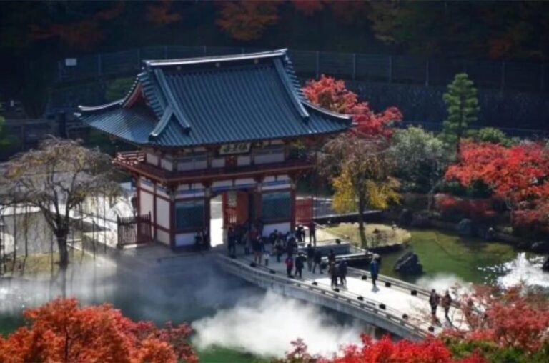 From Osaka/Kyoto : Private Osaka Day Trip w/Pickup & Dropoff - Practical Details and What to Expect