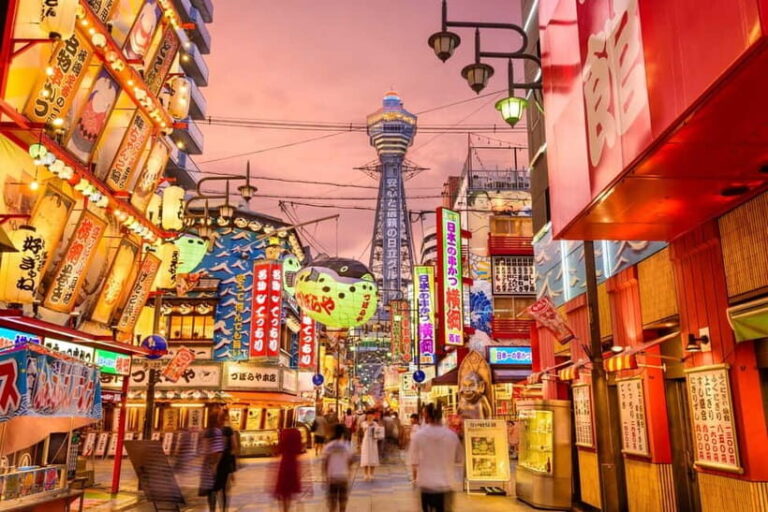 From Osaka: Nara private car tour with optional guide - What Makes This Tour Stand Out