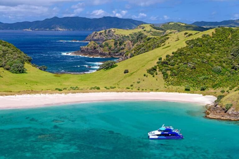 From Paihia: Full-Day Bay of Islands Cruise - Who Will Love This Tour?