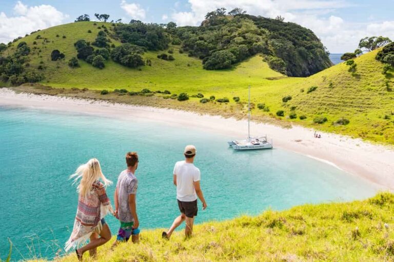 From Paihia: Island-Hopper Sailing Cruise with Picnic Lunch - What’s Included and Practical Tips