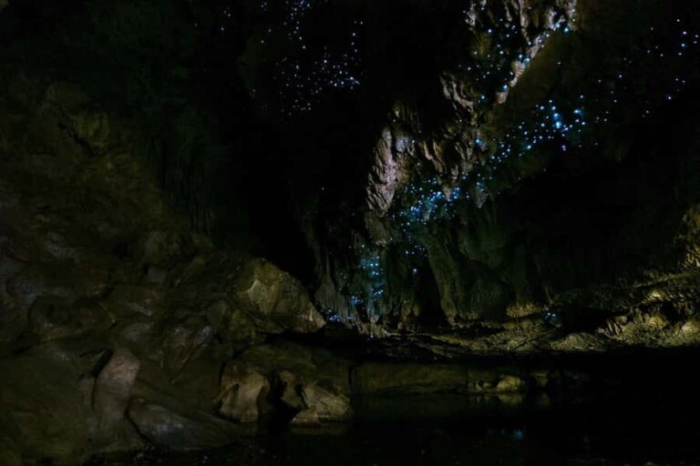 From Paihia: Kawiti Glowworm Caves Guided Tour - What the Reviews Say