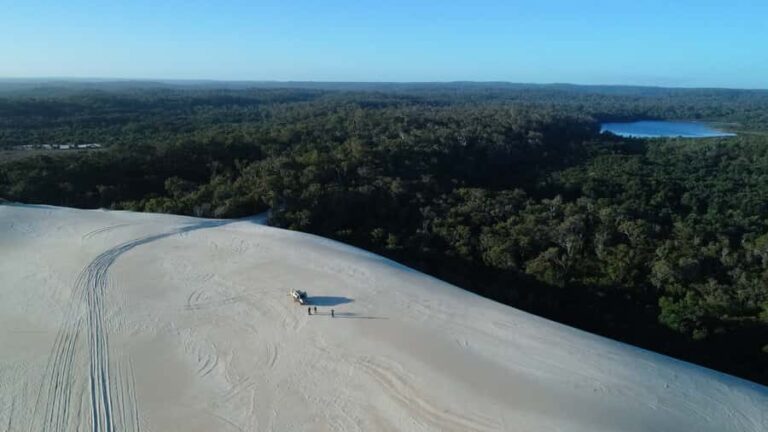 From Pemberton: Half-Day Beach and Forest Eco Adventure - Exploring Warren National Park’s Old-Growth Karri Forest