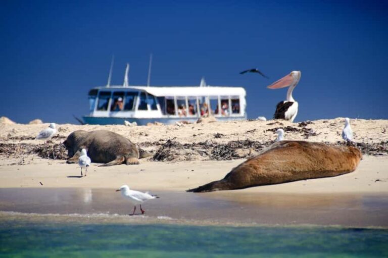 From Perth: Margaret River Wine Tour & Wildlife Cruise - Practical Tips for Travelers