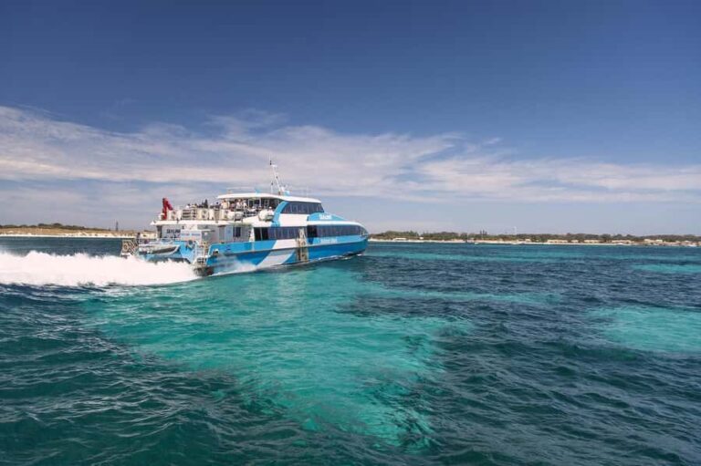 From Perth or Fremantle: Rottnest Island Ferry and Bus Tour - A Detailed Breakdown of the Itinerary