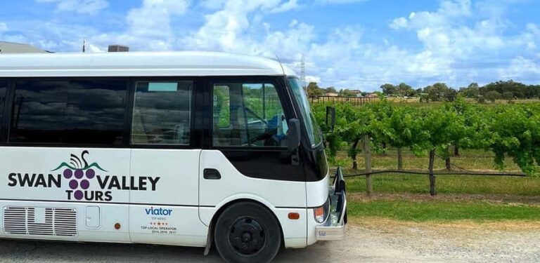 From Perth: Swan Valley Winery & Brewery Day Tour With Lunch - Who Is This Tour Best For?