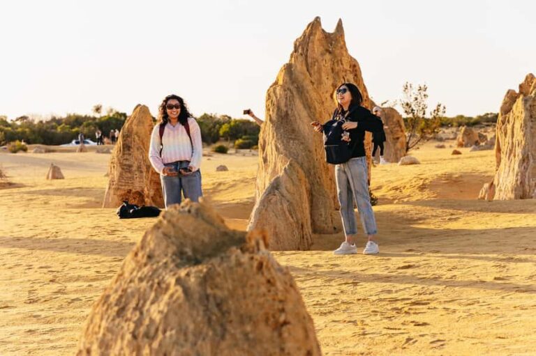 From Perth: The Pinnacles Desert Sunset and Star-Gazing Tour - Final Thoughts: Who Will Love This Tour?