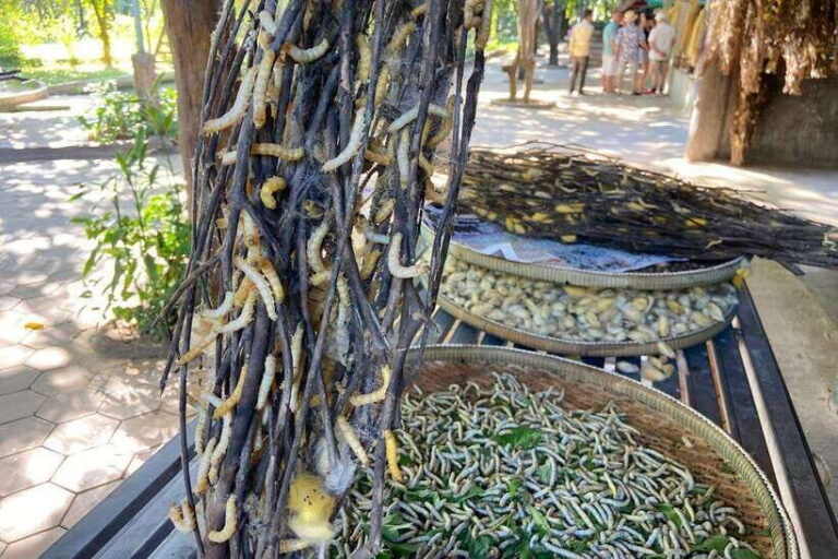 From Phnom Penh: Half-Day Silk Island Tour with Guide - What to Expect from the Tour