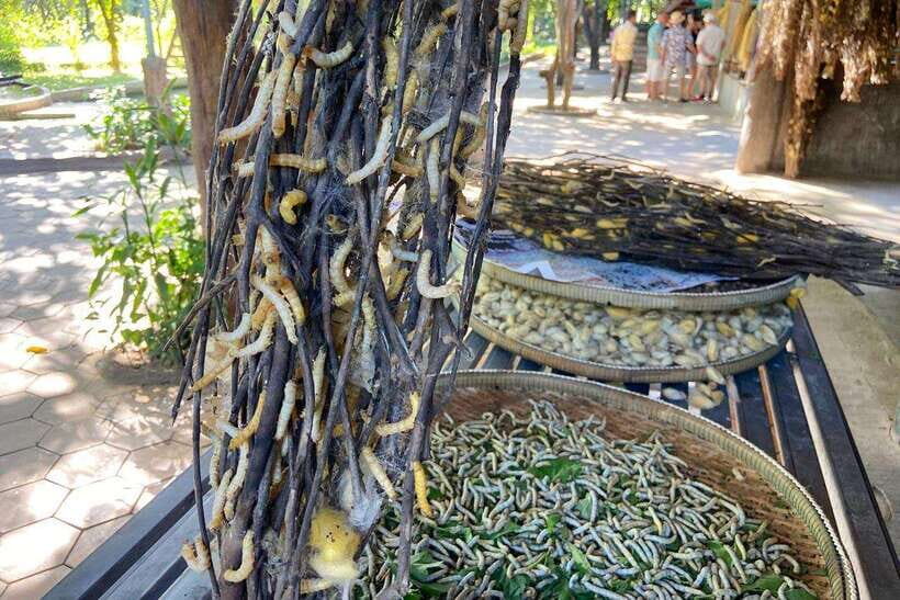 From Phnom Penh: Half-Day Silk Island Tour with Guide - What to Expect from the Tour