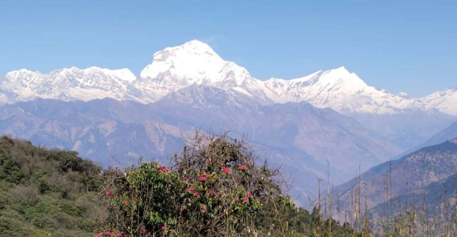 From Pokhara: 4-Day Annapurna and Poon Hill Himalayan Trek - What Travelers Say