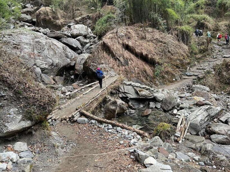 From Pokhara: 7-Day Annapurna Base Camp Trek - Detailed Day-by-Day Breakdown