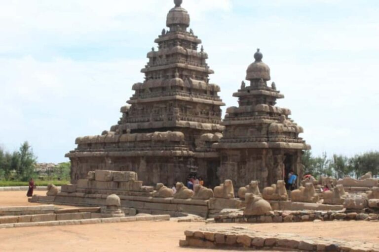 From Pondicherry: Day Tour to Mahabalipuram and Kanchipuram - Analyzing the value