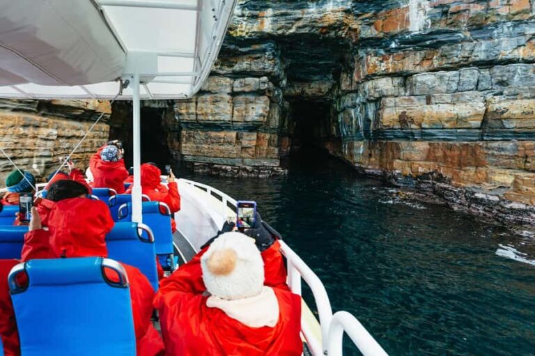 From Port Arthur: Tasman Island Wilderness Cruise - The Itinerary: What to Expect