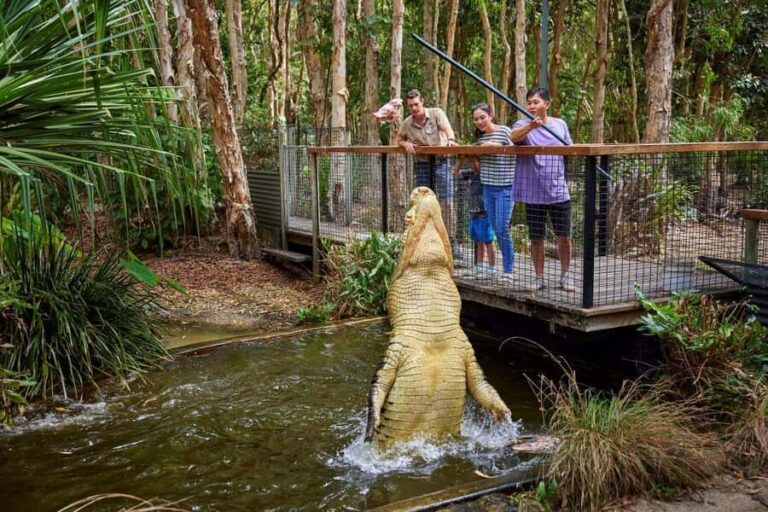 From Port Douglas: Hartley's Crocodile Park, Skyrail & Train - The Practicalities: Transport, Timing, and Comfort