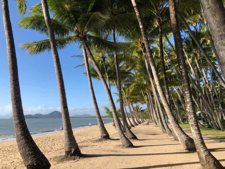 From Port Douglas: Kuranda via Scenic Rail or Skyrail Option - The Balance of Value and Authenticity