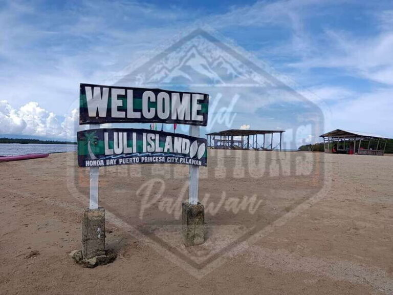 From Puerto Princesa: Honda Bay Island Hopping Full-Day Tour - Itinerary Breakdown: What to Expect at Each Island