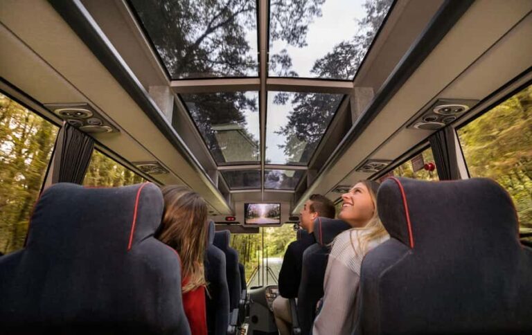 From Queenstown: Milford Sound Coach, Cruise, Scenic Flight - Itinerary Breakdown and What to Expect