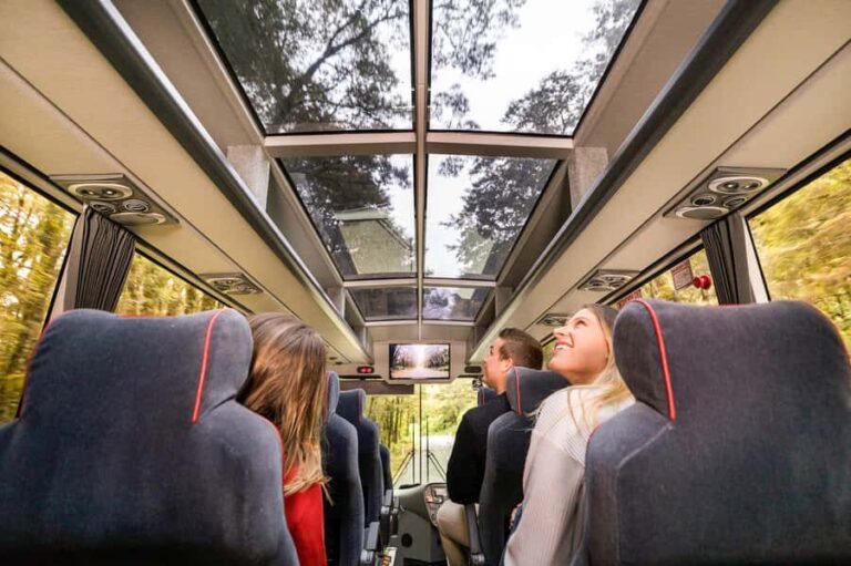 From Queenstown: Milford Sound Day Trip on Premium Coach - Detailed Breakdown of the Itinerary