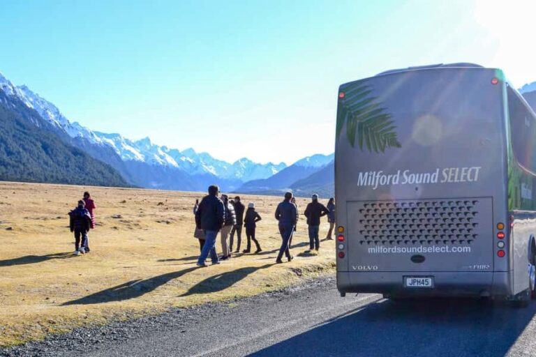 From Queenstown: Milford Sound Premium Day Tour and Cruise - Who Should Consider This Tour?
