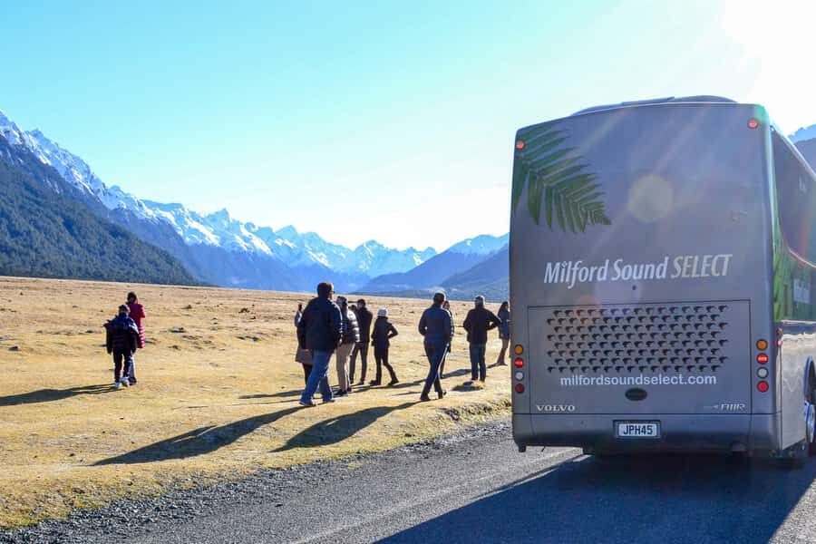 From Queenstown: Milford Sound Premium Day Tour and Cruise - Who Should Consider This Tour?