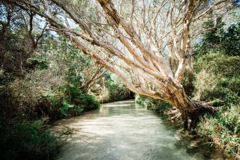 From Rainbow Beach: K'gari Fraser Island Full-Day Coach Tour - Authentic Experiences and Authenticity