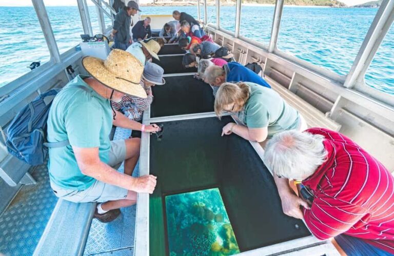 From Rosslyn: Great Keppel Island Adventure Tour with Lunch - First Encounter: Coral Viewing with Glass-Bottom Boat
