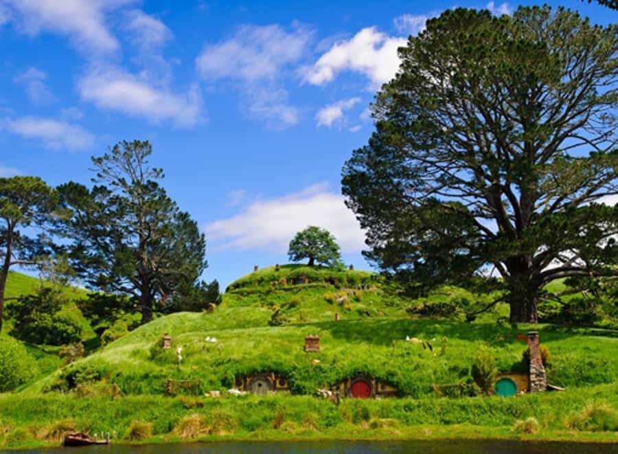 From Rotorua: Hobbiton Movie Set Tour with Festive Lunch - A Deep Dive into the Hobbiton Experience