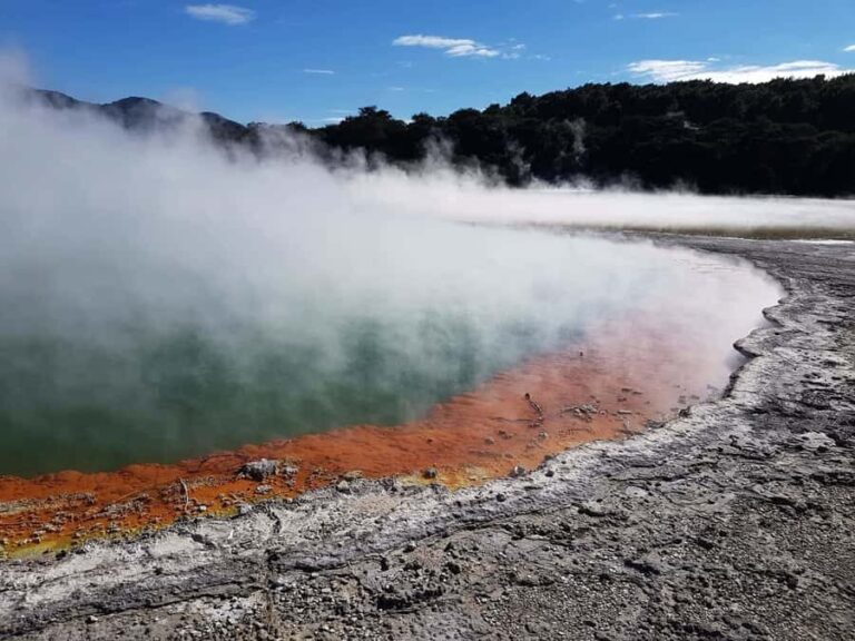 From Rotorua: Wai O Tapu & Waimangu Eco Thermal Morning Tour - An In-Depth Look at the Tour
