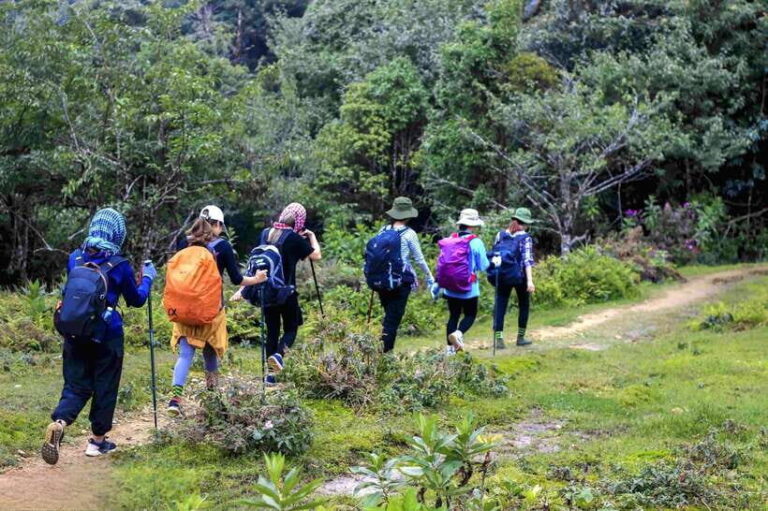 From Sapa: Fansipang Mountain Hike 1 Day - Analyzing the Price and Overall Value