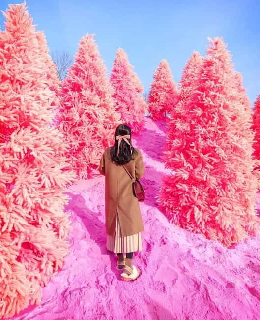 From Seoul: Romantic Winter Wonderland Tour - A Detailed Look at the Itinerary