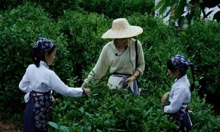 From Shanghai: 7-Day Tour to Huangshan, Hangzhou & Wuzhen - Practical Details and Travel Experience