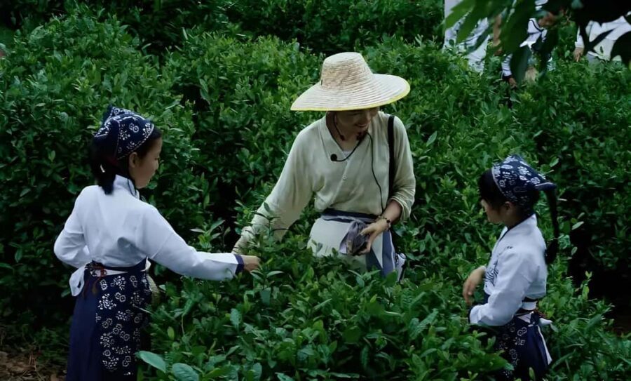 From Shanghai: 7-Day Tour to Huangshan, Hangzhou & Wuzhen - Practical Details and Travel Experience