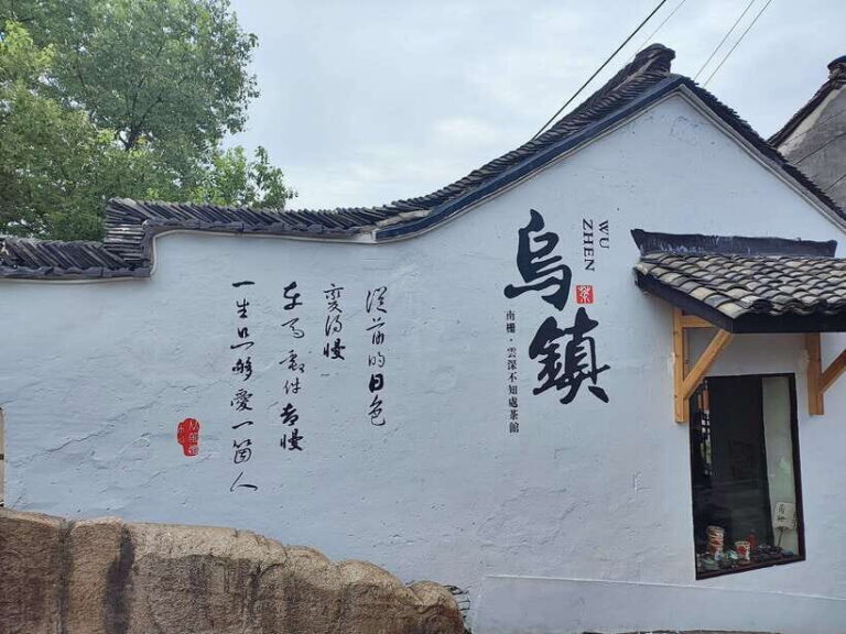 From Shanghai: Private Day Tour to Wuzhen Water Town - Is it Worth the Price?