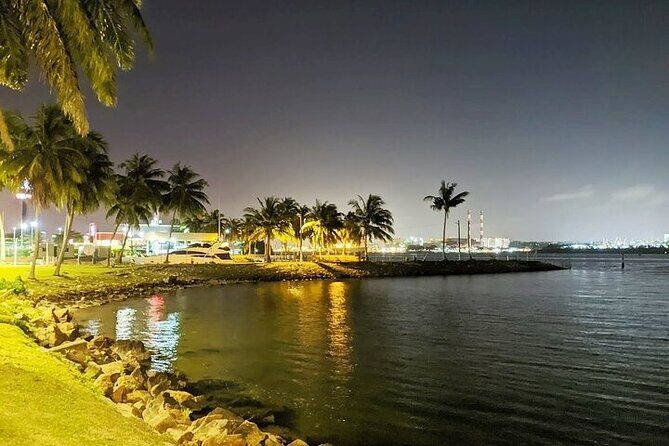 From Singapore: Private Malaysia express night tour + Massage - Who Should Book This Tour?