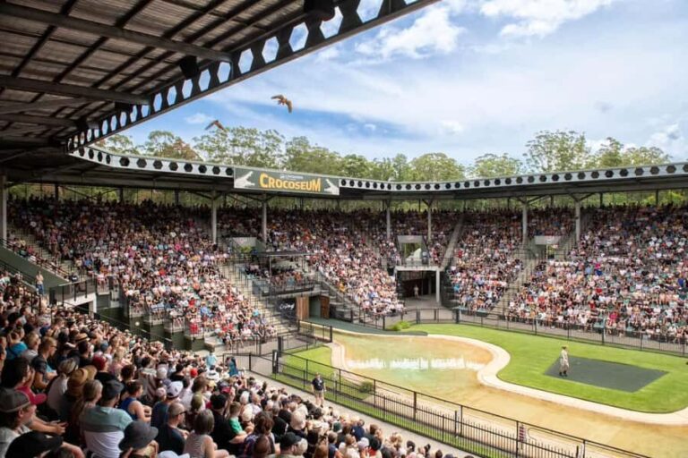 From Sunshine Coast: Australia Zoo Entry Ticket and Transfer - The Experience: Value and Authenticity