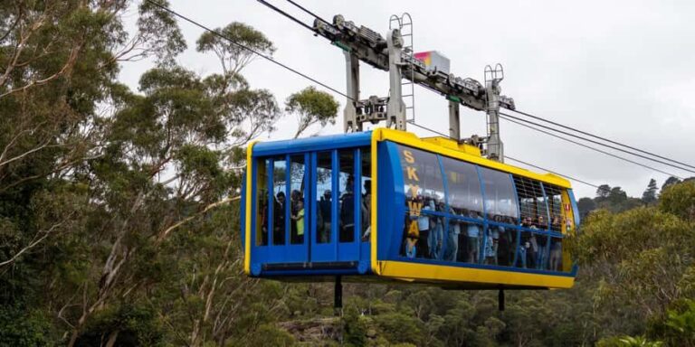 From Sydney: Blue Mountains, Scenic Railway, & Sydney Zoo - What to Expect: A Detailed Breakdown