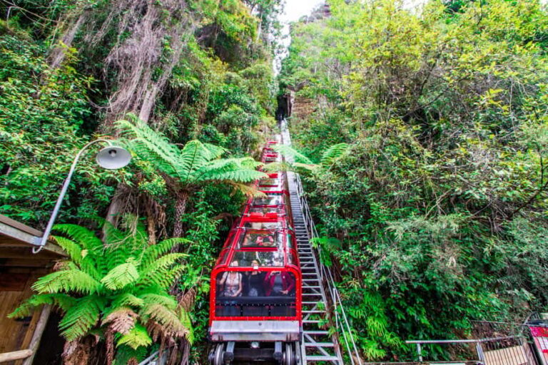 From Sydney: Blue Mountains, Scenic World, Zoo, & Ferry Ride - What Makes This Tour Stand Out